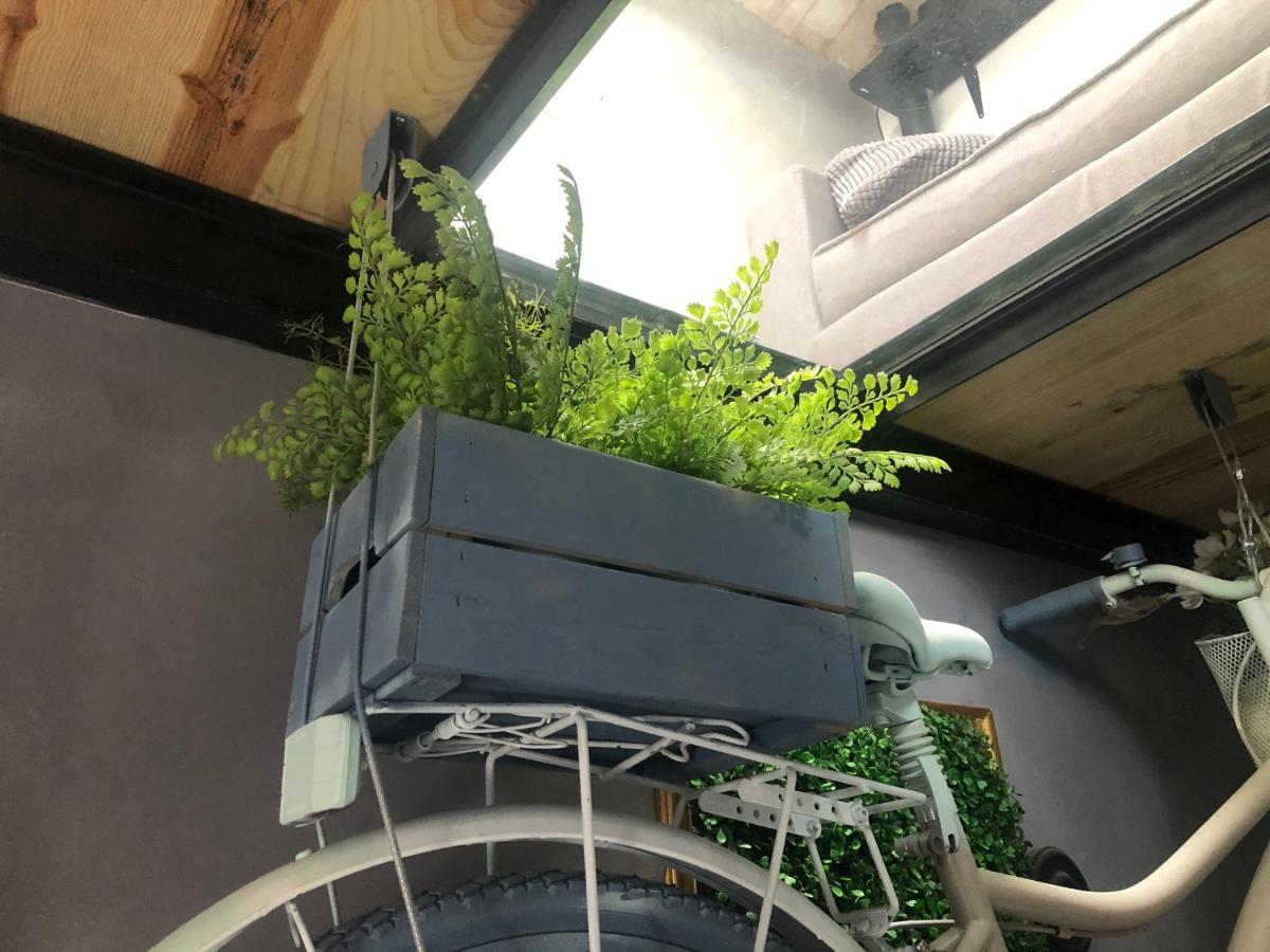 Casa Rural Atelier - Jardin Y Terraza Velliza 외부 사진