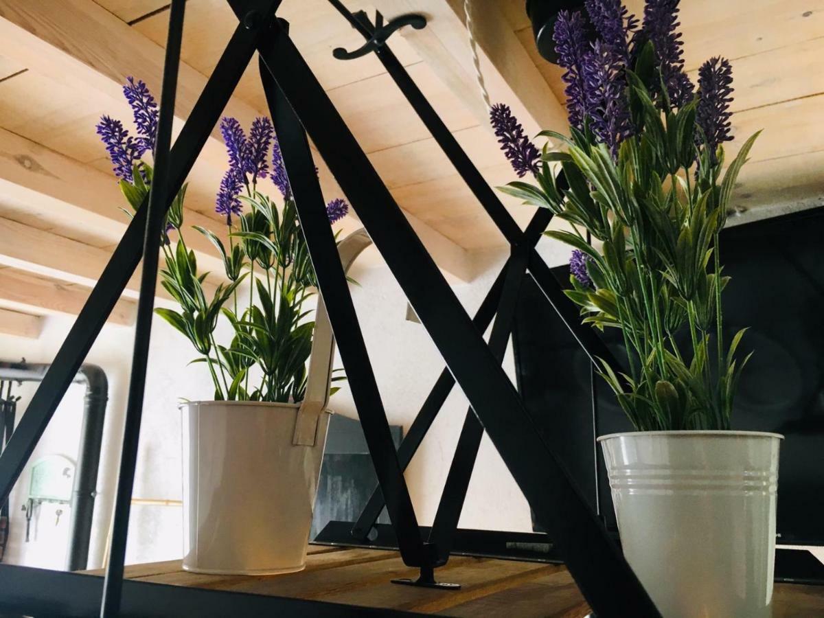 Casa Rural Atelier - Jardin Y Terraza Velliza 외부 사진